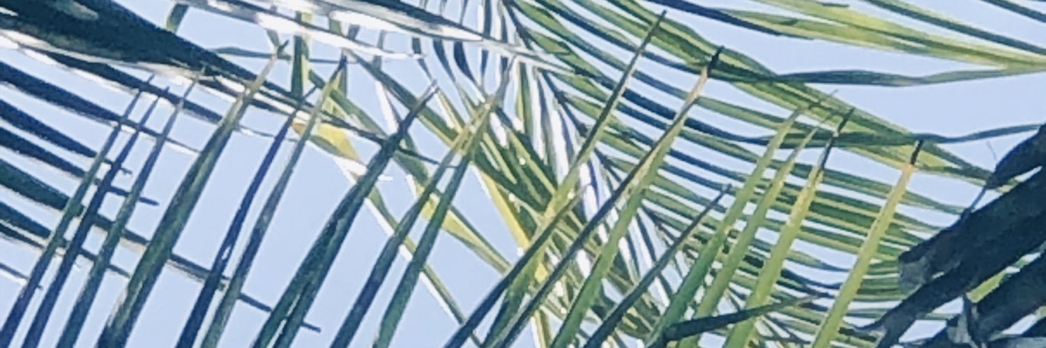 katmorpa14's profile banner image