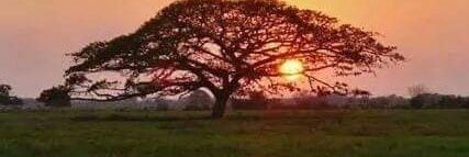 Urifiel Santos González banner