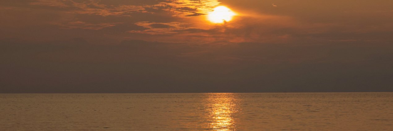 NWanieee97_'s profile banner image