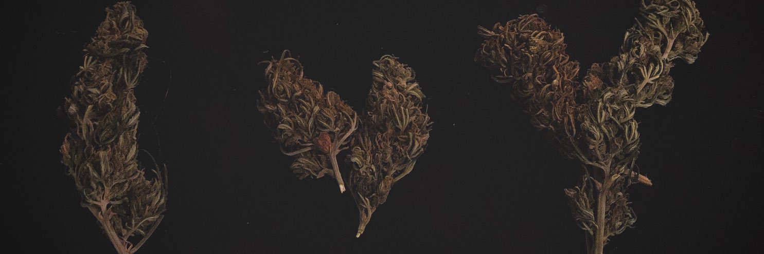 sohighpie's profile banner image