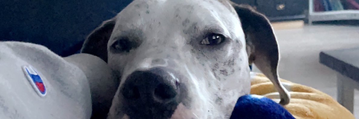 AvaTompkins's profile banner image