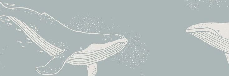 whale_____'s profile banner image