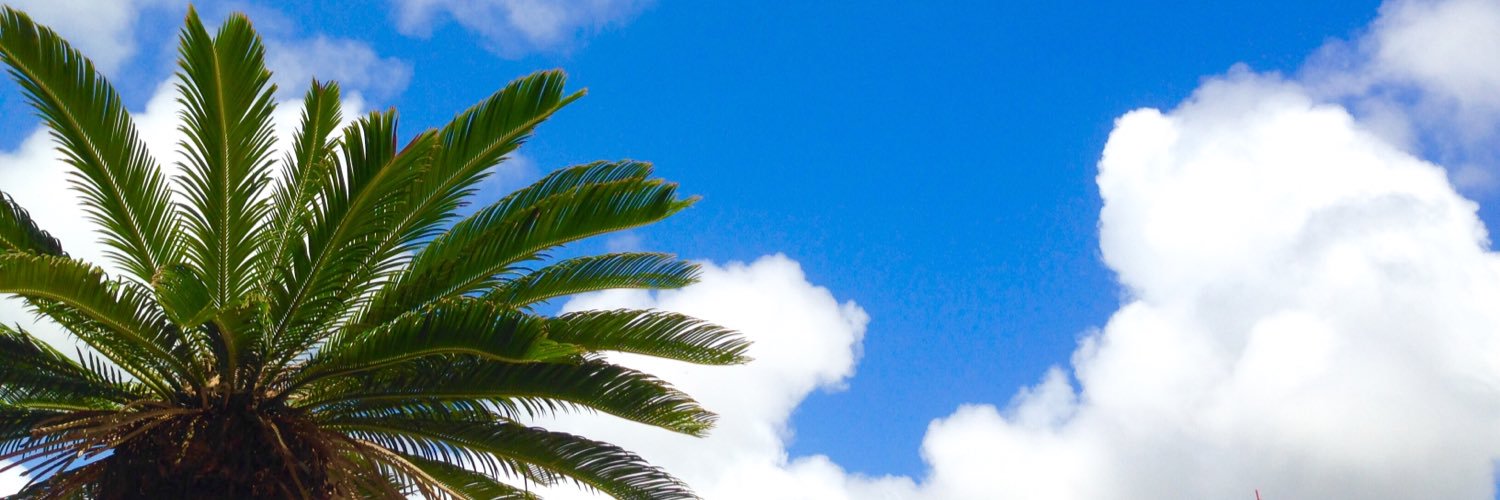 miki____a's profile banner image
