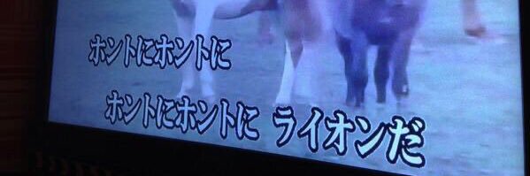 tatsuyoshi117's profile banner image