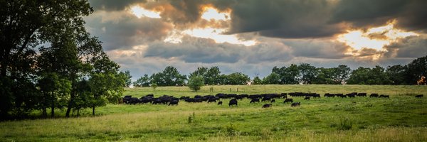 GallagherCAAM Profile Banner