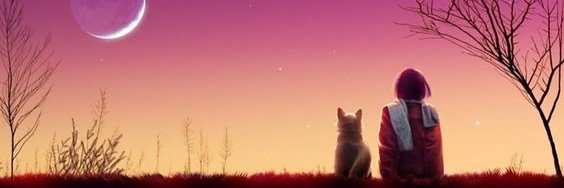 niuwbee's profile banner image