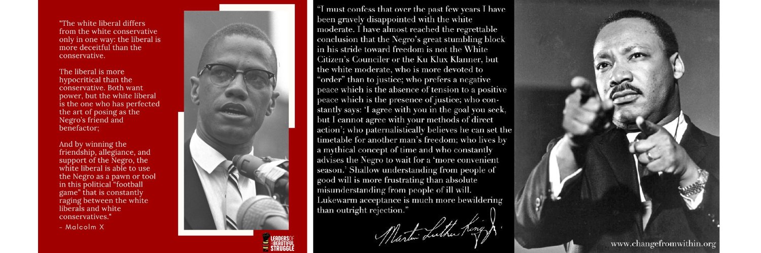 An Observer *Trump's an Epstein pedo* banner