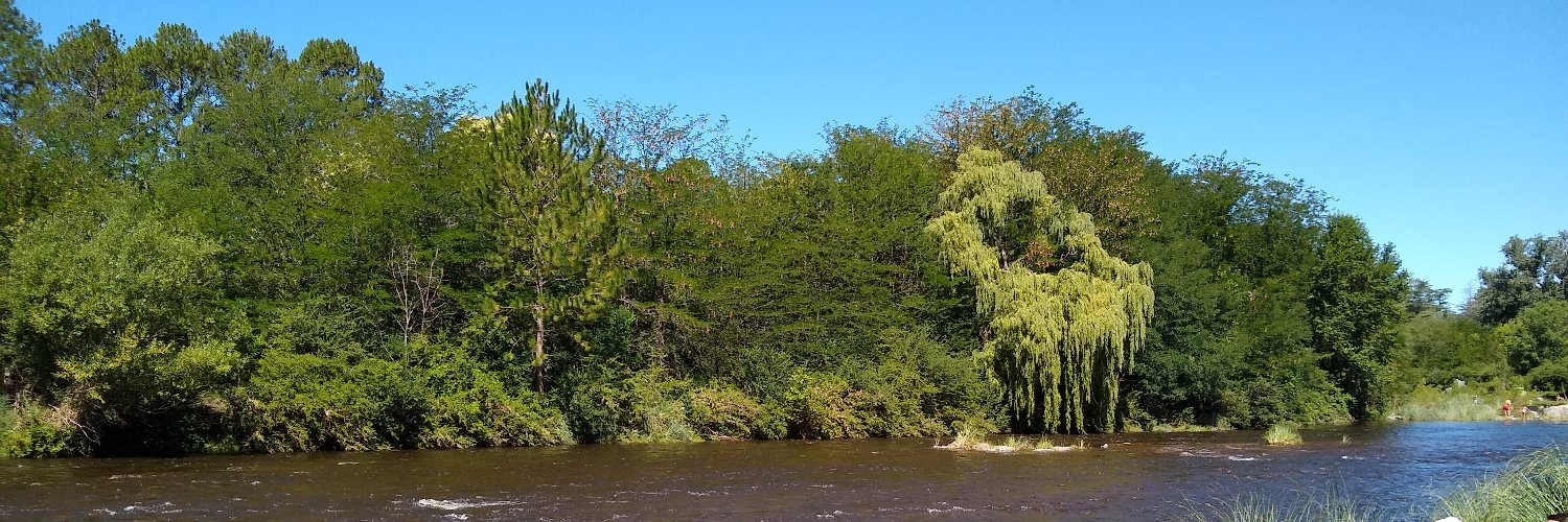 Martin Miranda banner