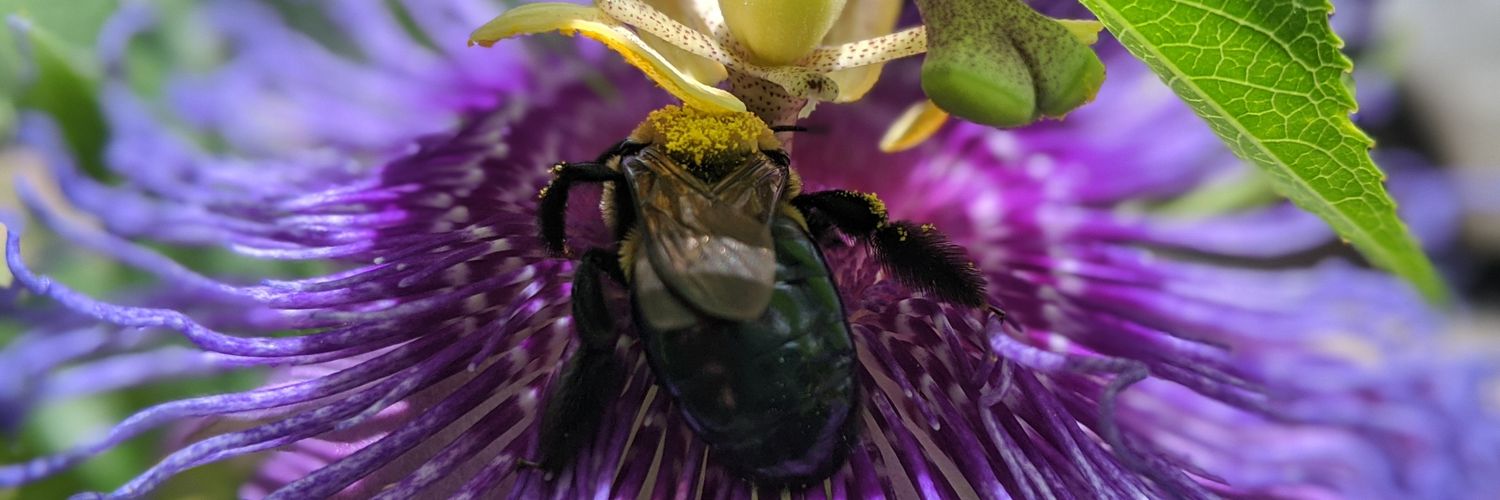 Eric Tobin 🏳️‍🌈 banner