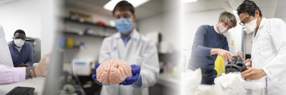 Mount Sinai BioDesign banner