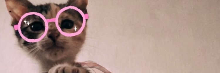 PameGordillo's profile banner image
