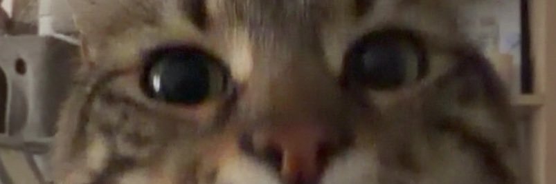 petitroisorcier's profile banner image