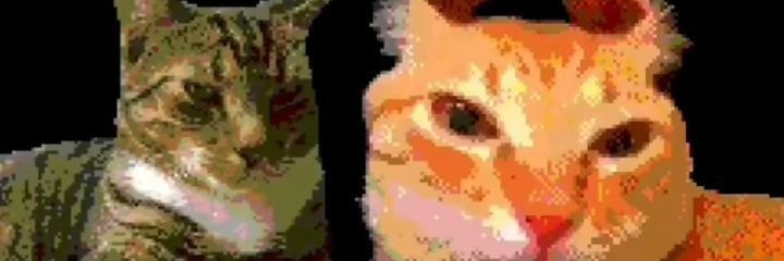 eggcuck's profile banner image