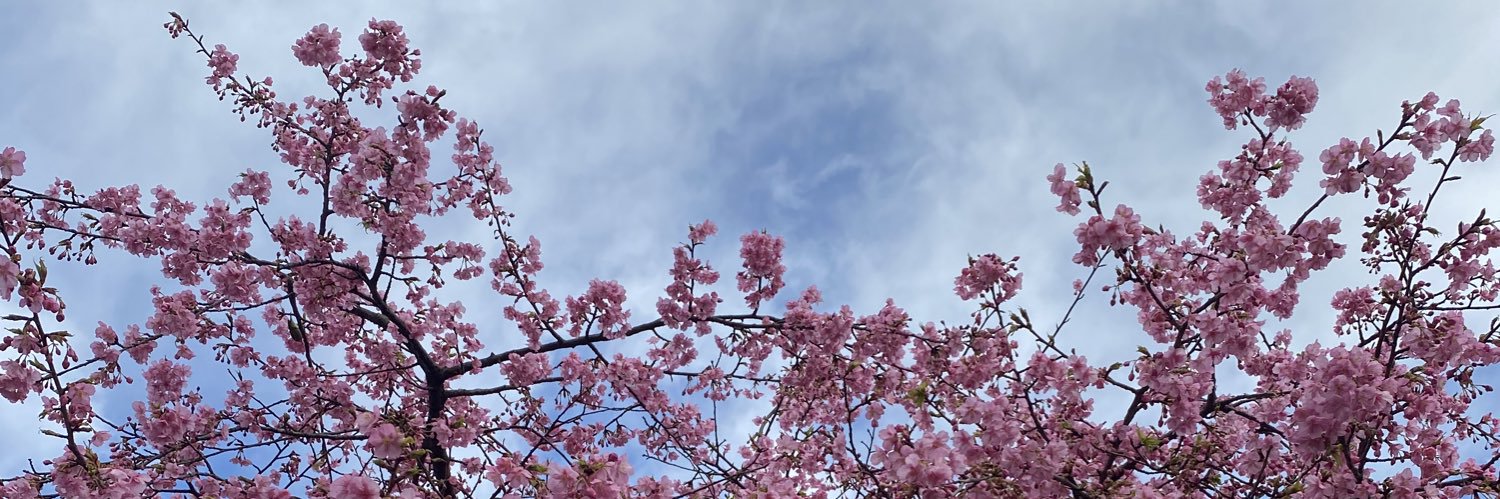 estersinhache's profile banner image