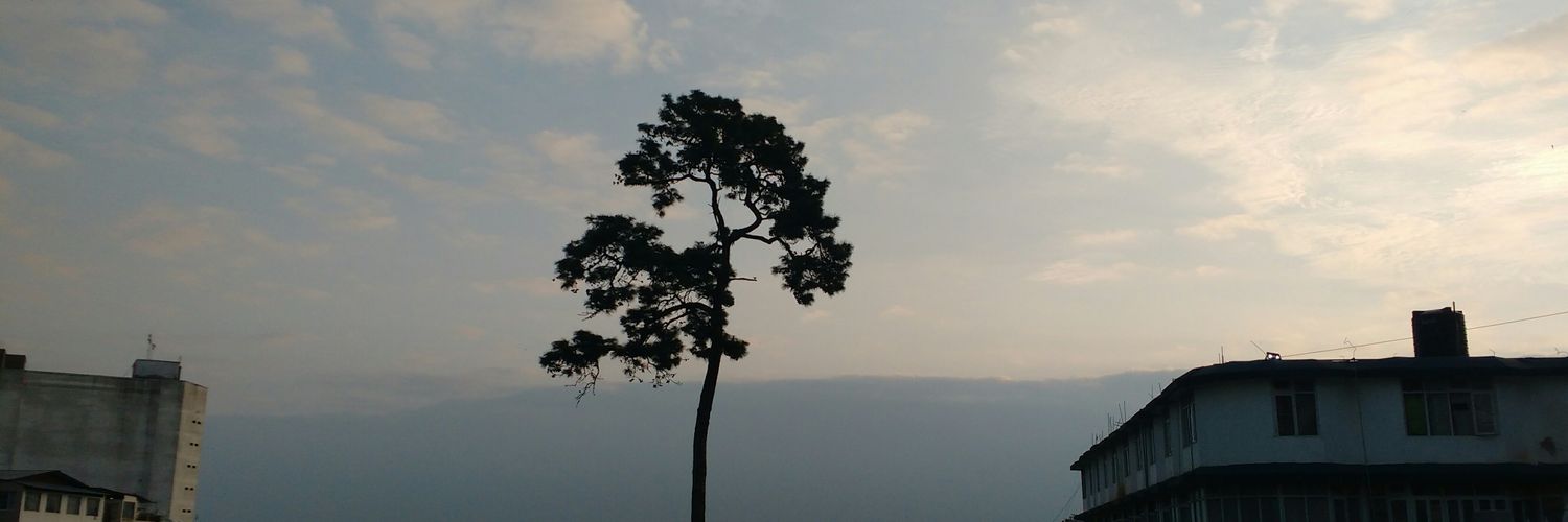 BordofKris's profile banner image