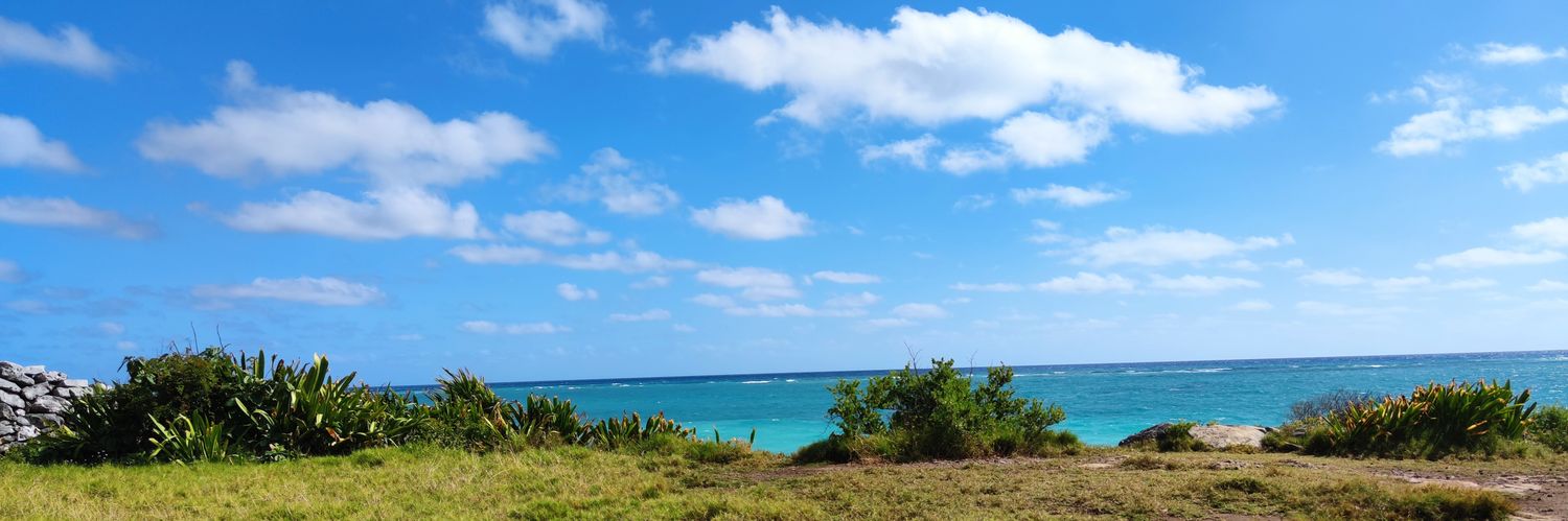 Héctor Romero banner