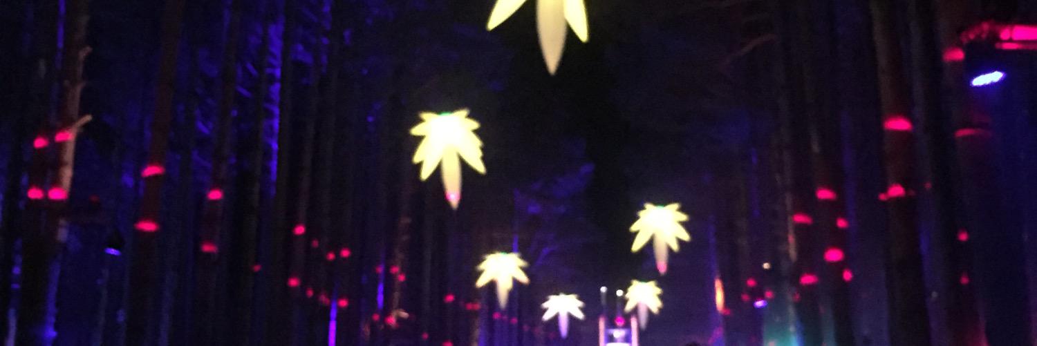bakerbocker's profile banner image