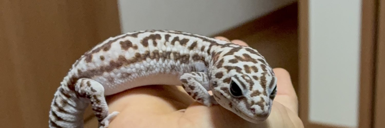 けちゃまる banner