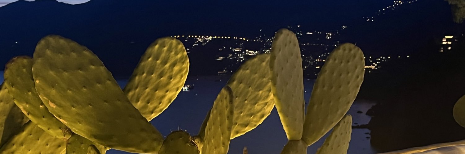 Alberto Pavan banner