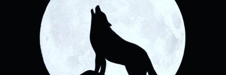 A7med9051's profile banner image
