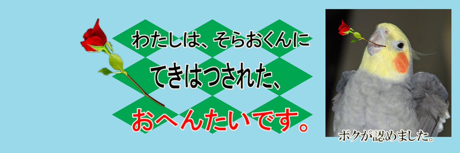 ランカ🍊 banner