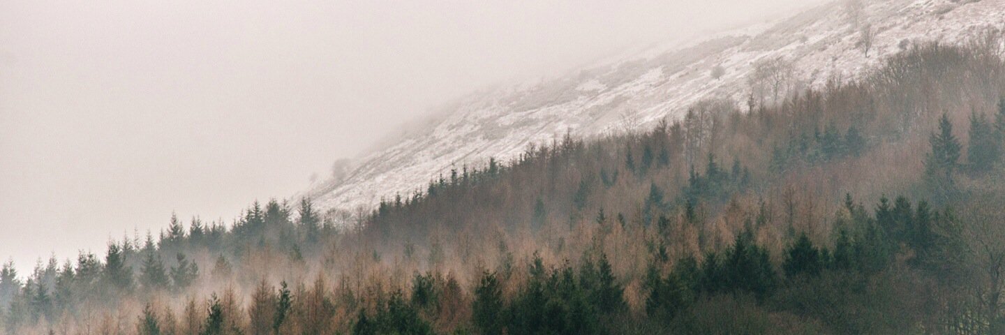 teeheald's profile banner image
