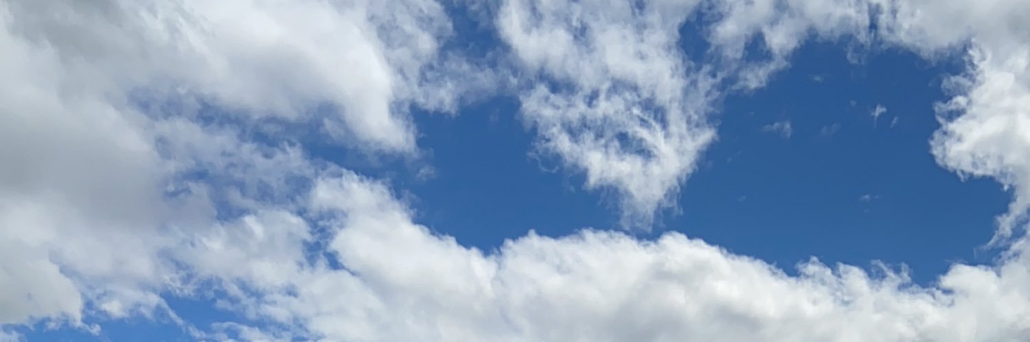 suissofi's profile banner image