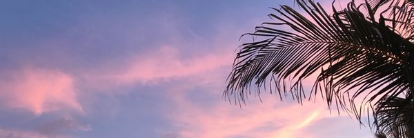neuscaballer Profile Banner