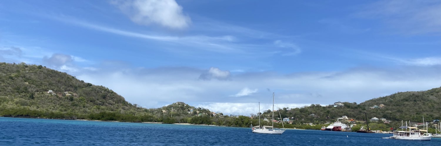 ligaroo in the sky 🇬🇩 banner