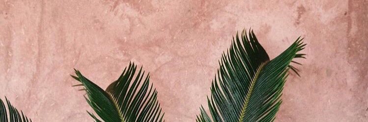 𓂆 خيرية banner