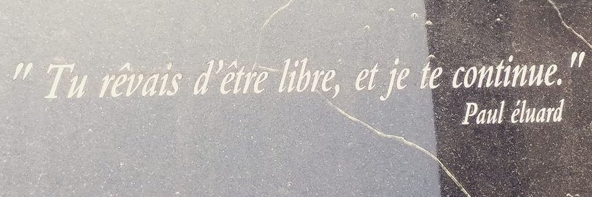 Marisa Castelo 🇺🇦 banner