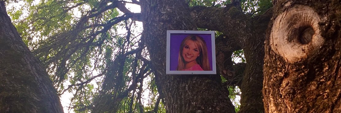 ༺ buppy ༻ banner