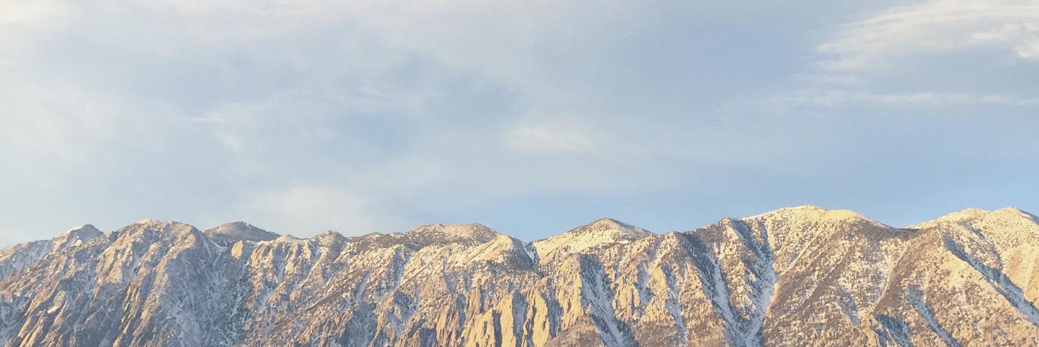 LeoYum's profile banner image