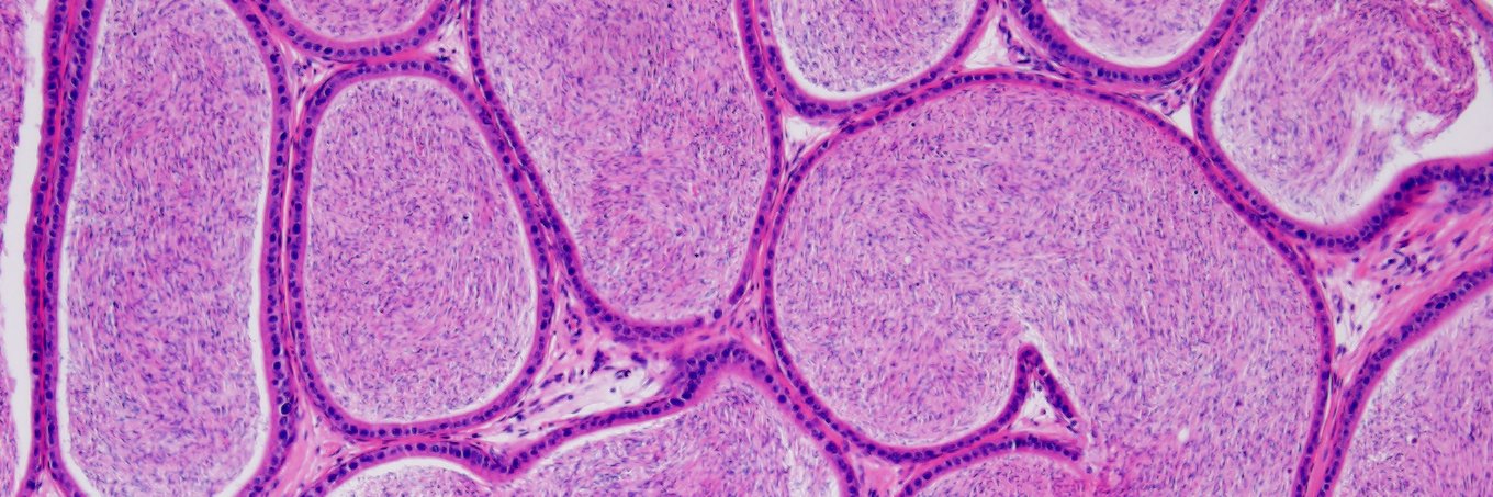 Natalie Trigg banner