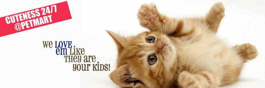 PetMartGroup's profile banner image
