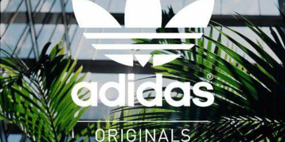 danielsham12's profile banner image