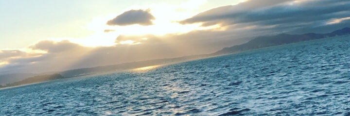 reyesdavid020's profile banner image