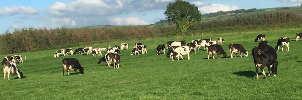 davidoleary101 Profile Banner