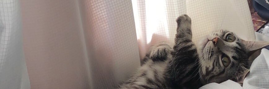 Mikan3773's profile banner image