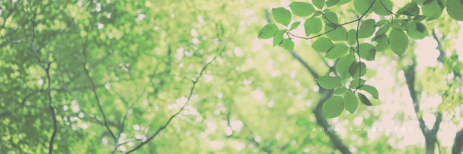 がーこ banner