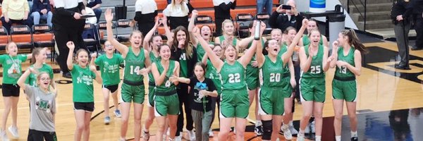 Ladybearsbball3 Profile Banner