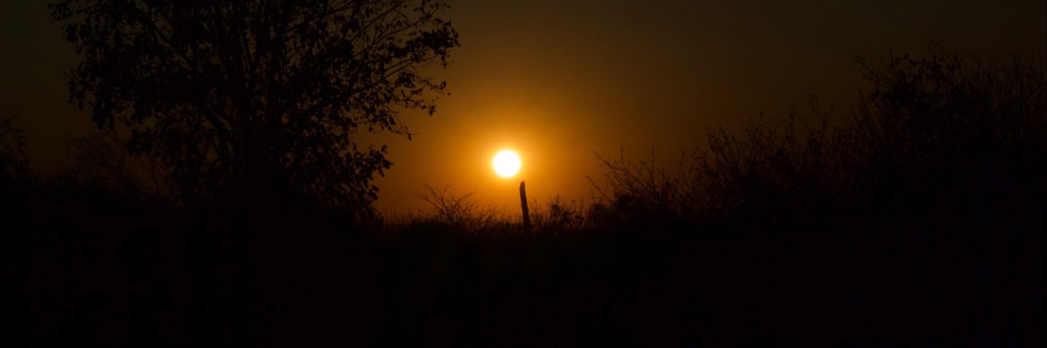 KSichilongo's profile banner image