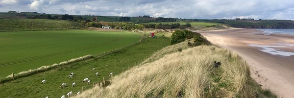 LunanBayFarm Profile Banner