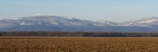 CunyJoris Profile Banner