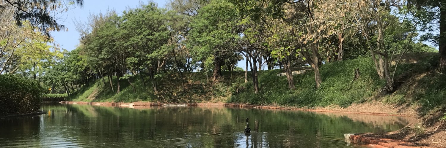 wonderfulemerald banner