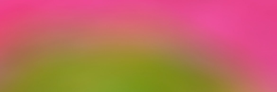 ✨ski_7🐰🩵 banner