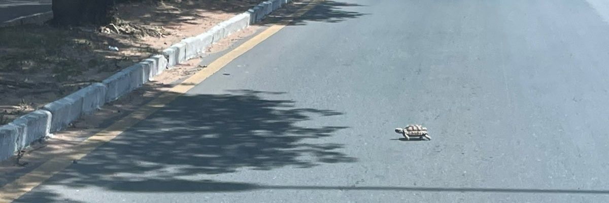 ___m0nica's profile banner image