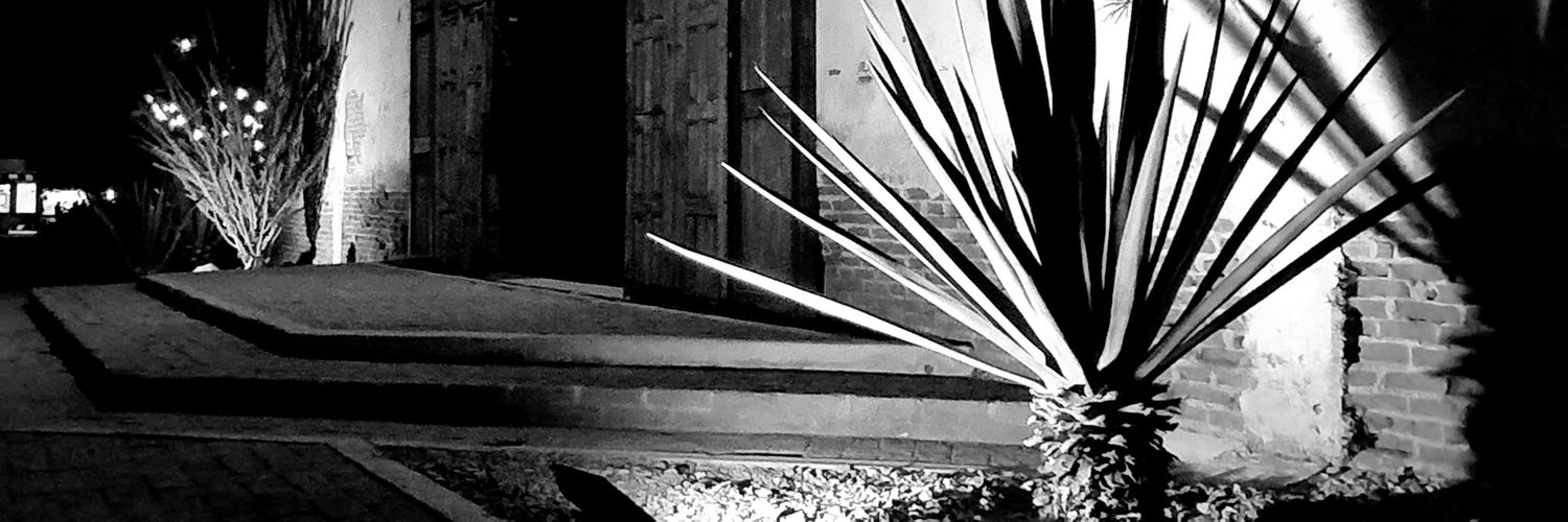 MitziTamara's profile banner image