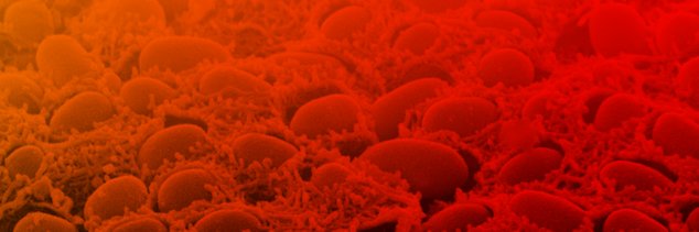 Nucleotide Second Messengers in Bacteria banner