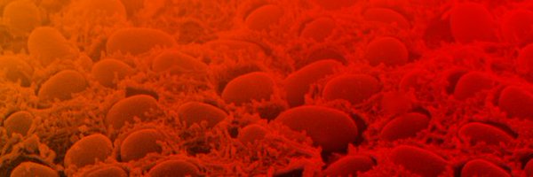SPP1879 Profile Banner